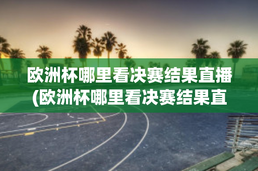 欧洲杯哪里看决赛结果直播(欧洲杯哪里看决赛结果直播回放)