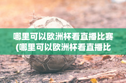 哪里可以欧洲杯看直播比赛(哪里可以欧洲杯看直播比赛的软件)