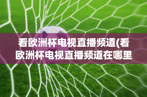 看欧洲杯电视直播频道(看欧洲杯电视直播频道在哪里看)