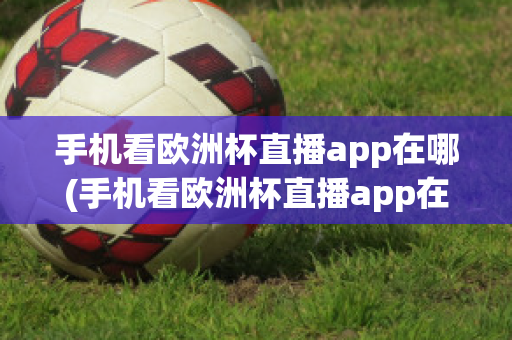 手机看欧洲杯直播app在哪(手机看欧洲杯直播app在哪看)