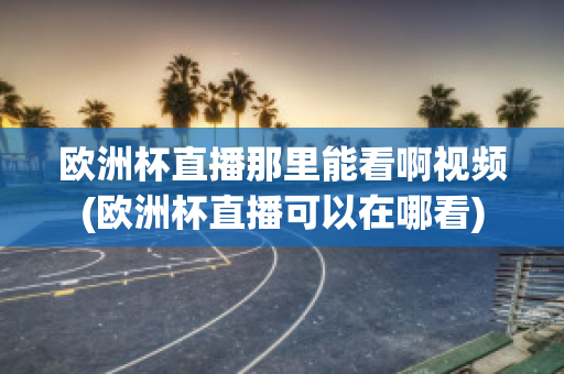 欧洲杯直播那里能看啊视频(欧洲杯直播可以在哪看)