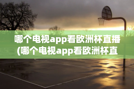 哪个电视app看欧洲杯直播(哪个电视app看欧洲杯直播好)