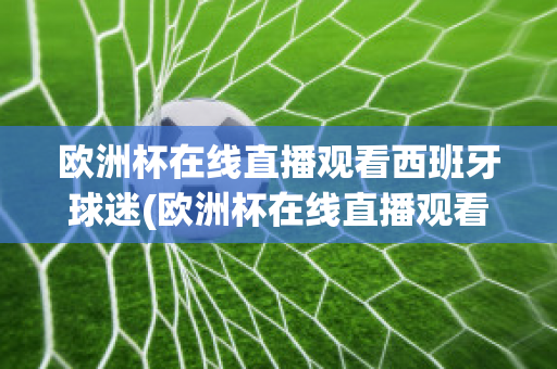 欧洲杯在线直播观看西班牙球迷(欧洲杯在线直播观看西班牙球迷回放)