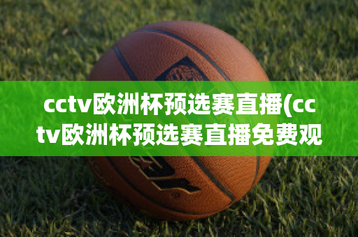 cctv欧洲杯预选赛直播(cctv欧洲杯预选赛直播免费观看)