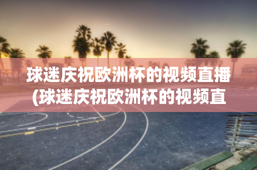 球迷庆祝欧洲杯的视频直播(球迷庆祝欧洲杯的视频直播在哪看)