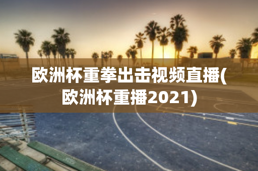 欧洲杯重拳出击视频直播(欧洲杯重播2021)