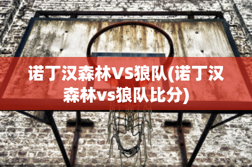 诺丁汉森林VS狼队(诺丁汉森林vs狼队比分)