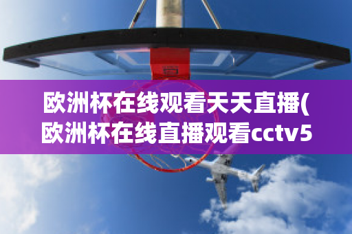 欧洲杯在线观看天天直播(欧洲杯在线直播观看cctv5)