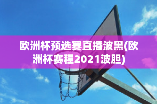 欧洲杯预选赛直播波黑(欧洲杯赛程2021波胆)