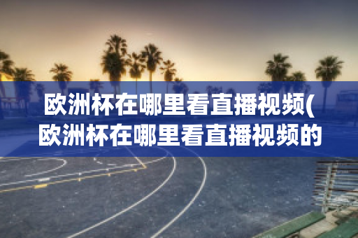 欧洲杯在哪里看直播视频(欧洲杯在哪里看直播视频的)