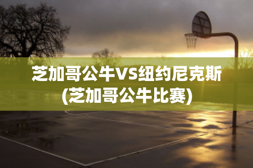 芝加哥公牛VS纽约尼克斯(芝加哥公牛比赛)