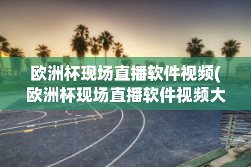 欧洲杯现场直播软件视频(欧洲杯现场直播软件视频大全)