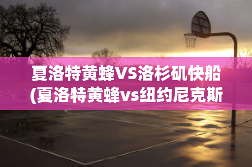 夏洛特黄蜂VS洛杉矶快船(夏洛特黄蜂vs纽约尼克斯)