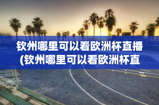 钦州哪里可以看欧洲杯直播(钦州哪里可以看欧洲杯直播的地方)