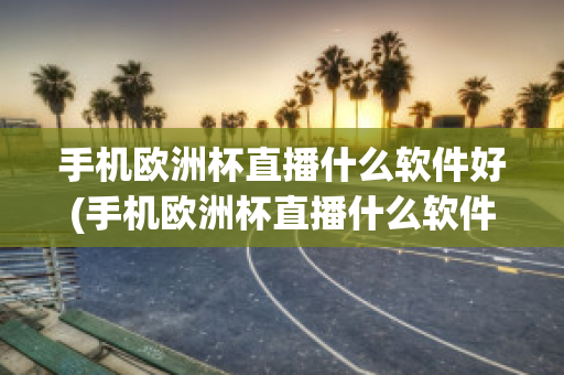 手机欧洲杯直播什么软件好(手机欧洲杯直播什么软件好一点)