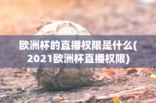 欧洲杯的直播权限是什么(2021欧洲杯直播权限)