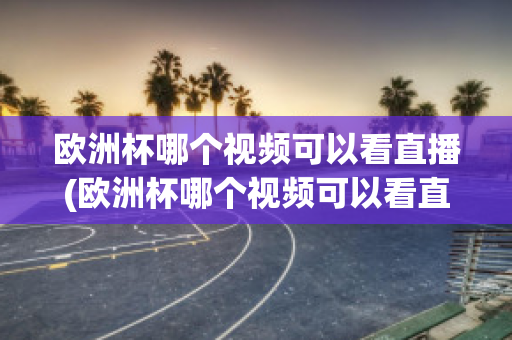 欧洲杯哪个视频可以看直播(欧洲杯哪个视频可以看直播回放)