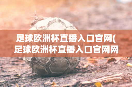 足球欧洲杯直播入口官网(足球欧洲杯直播入口官网网址)