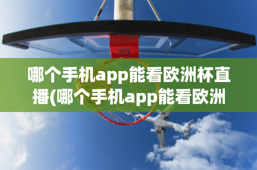 哪个手机app能看欧洲杯直播(哪个手机app能看欧洲杯直播视频)