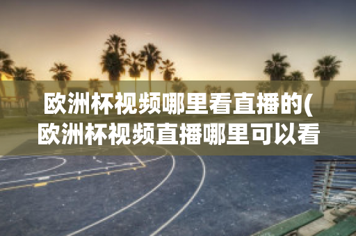 欧洲杯视频哪里看直播的(欧洲杯视频直播哪里可以看)