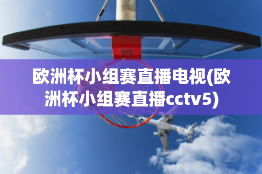 欧洲杯小组赛直播电视(欧洲杯小组赛直播cctv5)