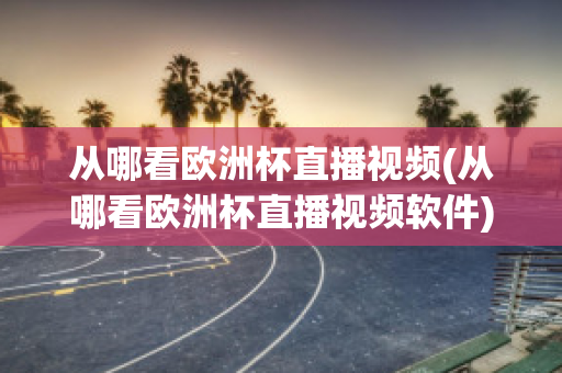 从哪看欧洲杯直播视频(从哪看欧洲杯直播视频软件)