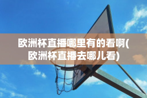 欧洲杯直播哪里有的看啊(欧洲杯直播去哪儿看)