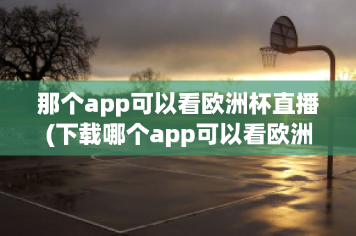 那个app可以看欧洲杯直播(下载哪个app可以看欧洲杯直播)