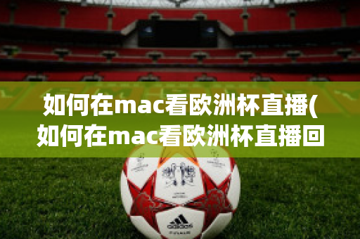 如何在mac看欧洲杯直播(如何在mac看欧洲杯直播回放)