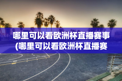 哪里可以看欧洲杯直播赛事(哪里可以看欧洲杯直播赛事视频)