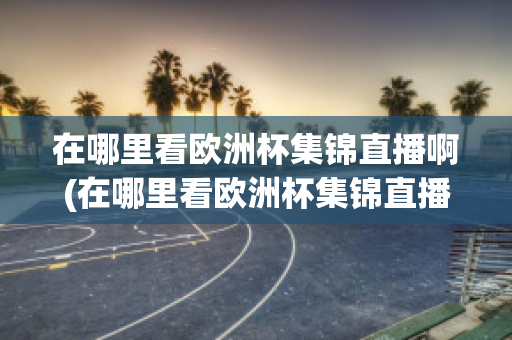 在哪里看欧洲杯集锦直播啊(在哪里看欧洲杯集锦直播啊)