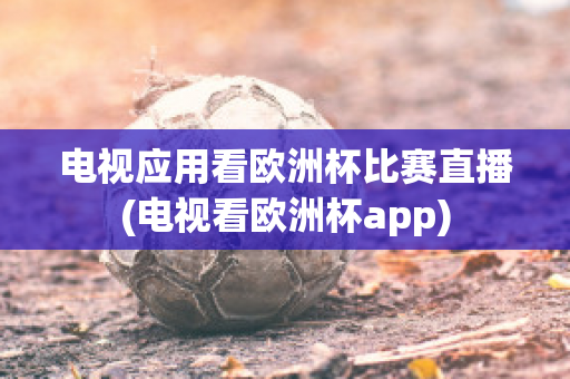 电视应用看欧洲杯比赛直播(电视看欧洲杯app)