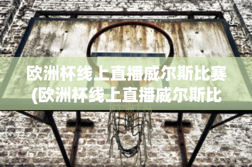 欧洲杯线上直播威尔斯比赛(欧洲杯线上直播威尔斯比赛回放)