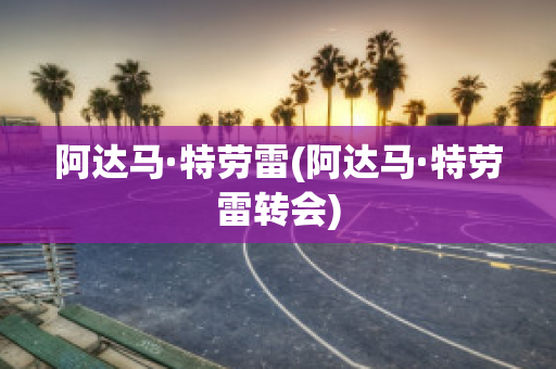 阿达马·特劳雷(阿达马·特劳雷转会)