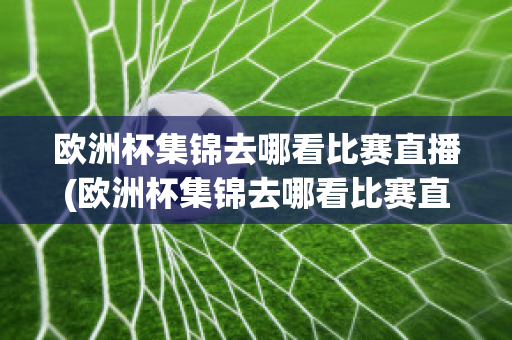 欧洲杯集锦去哪看比赛直播(欧洲杯集锦去哪看比赛直播回放)