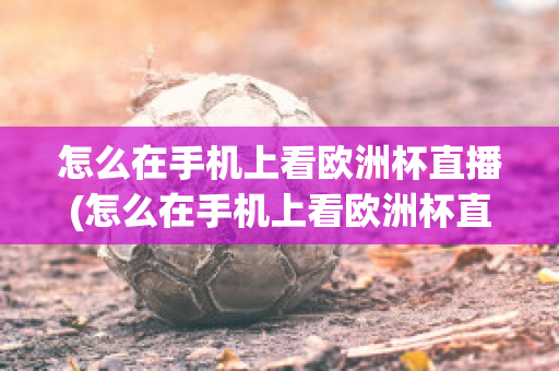 怎么在手机上看欧洲杯直播(怎么在手机上看欧洲杯直播回放)