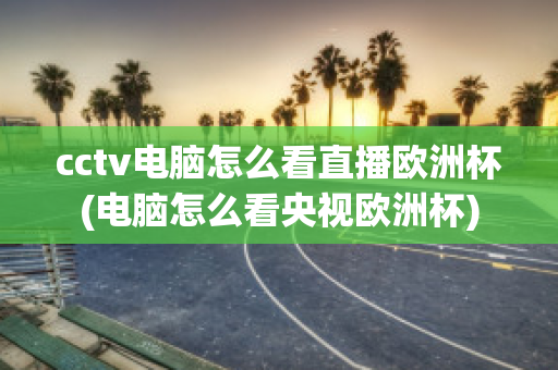 cctv电脑怎么看直播欧洲杯(电脑怎么看央视欧洲杯)