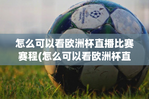 怎么可以看欧洲杯直播比赛赛程(怎么可以看欧洲杯直播比赛赛程视频)