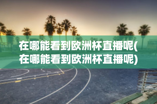 在哪能看到欧洲杯直播呢(在哪能看到欧洲杯直播呢)