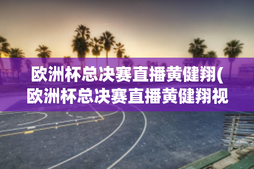 欧洲杯总决赛直播黄健翔(欧洲杯总决赛直播黄健翔视频回放)