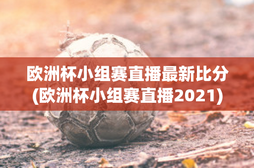 欧洲杯小组赛直播最新比分(欧洲杯小组赛直播2021)