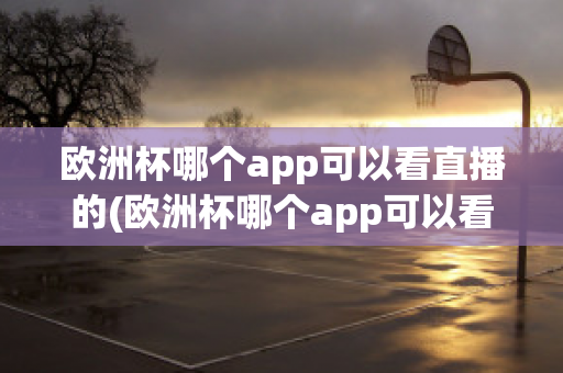 欧洲杯哪个app可以看直播的(欧洲杯哪个app可以看直播的)