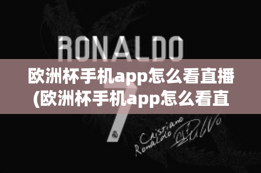 欧洲杯手机app怎么看直播(欧洲杯手机app怎么看直播视频)