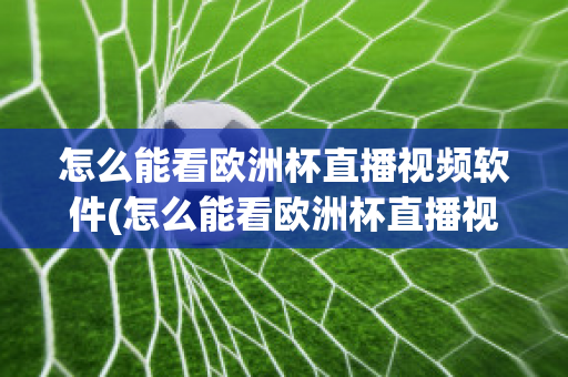 怎么能看欧洲杯直播视频软件(怎么能看欧洲杯直播视频软件呢)