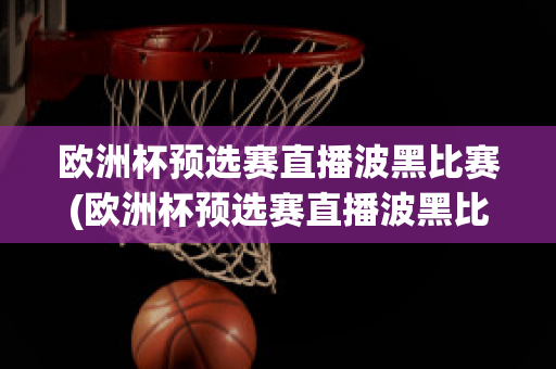 欧洲杯预选赛直播波黑比赛(欧洲杯预选赛直播波黑比赛回放)