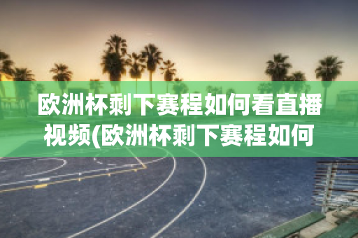 欧洲杯剩下赛程如何看直播视频(欧洲杯剩下赛程如何看直播视频呢)