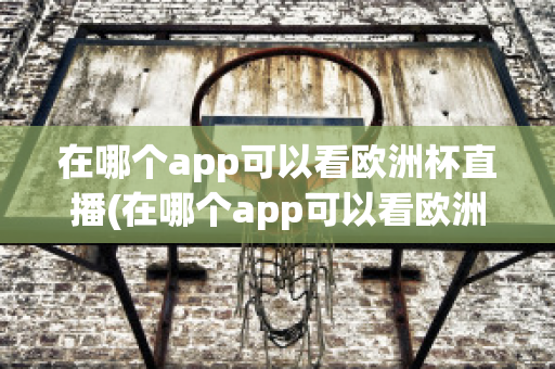 在哪个app可以看欧洲杯直播(在哪个app可以看欧洲杯直播视频)