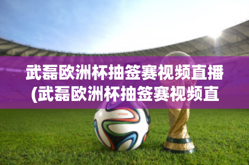 武磊欧洲杯抽签赛视频直播(武磊欧洲杯抽签赛视频直播在线观看)