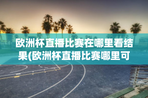 欧洲杯直播比赛在哪里看结果(欧洲杯直播比赛哪里可以看)