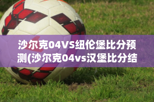 沙尔克04VS纽伦堡比分预测(沙尔克04vs汉堡比分结果)